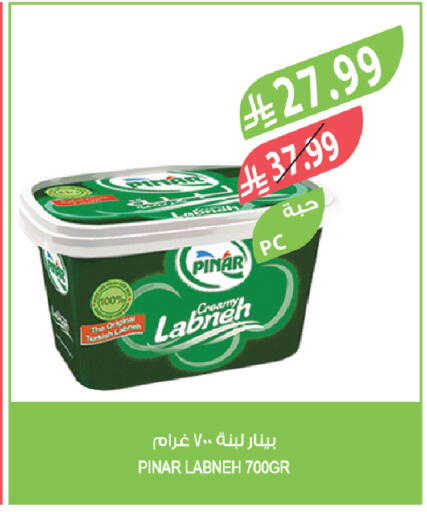 available at المزرعة in مملكة العربية السعودية, السعودية, سعودية - الرياض
