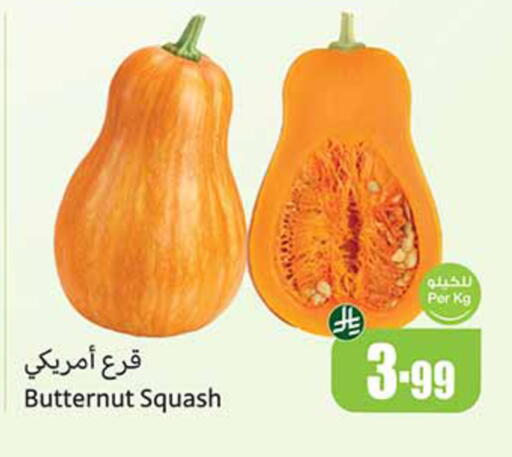 Squash available at أسواق عبد الله العثيم in مملكة العربية السعودية, السعودية, سعودية - المدينة المنورة