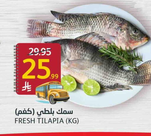 available at أسواق الجزيرة in مملكة العربية السعودية, السعودية, سعودية - الرياض