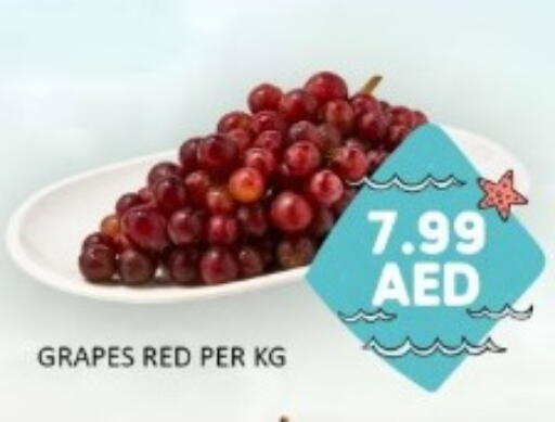 Grapes available at GREEN GIFT DEPARTMENT STORE in UAE - Abu Dhabi