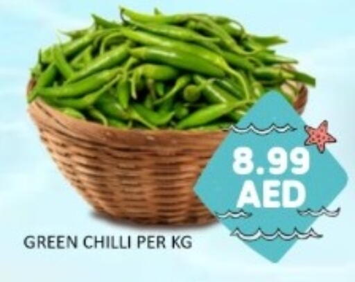 Green chilli available at GREEN GIFT DEPARTMENT STORE in UAE - Abu Dhabi