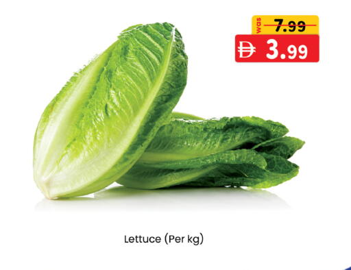 Lettuce available at ك. إم. هايبرماركت in الإمارات العربية المتحدة , الامارات - أبو ظبي