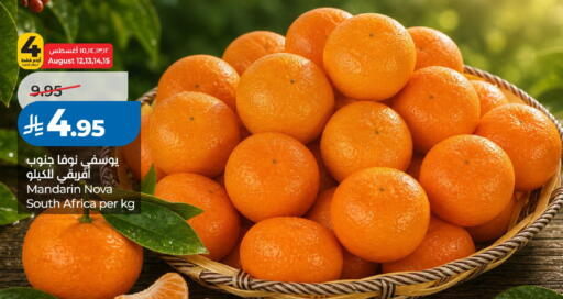 Mandarin from South Africa available at لولو هايبرماركت in مملكة العربية السعودية, السعودية, سعودية - الرياض
