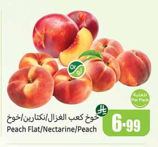Peach Nectarine available at Othaim Markets in KSA, Saudi Arabia, Saudi - Riyadh