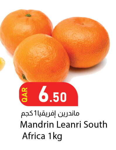 from South Africa available at دانا ماركت in قطر - الخور