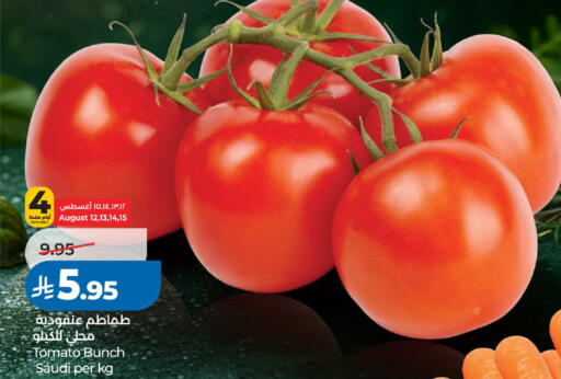 Tomato from Saudi Arabia available at لولو هايبرماركت in مملكة العربية السعودية, السعودية, سعودية - الرياض