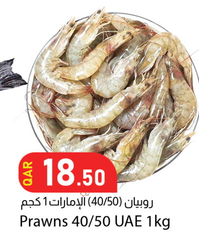 available at دانا ماركت in قطر - الدوحة