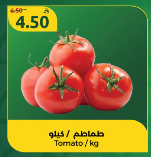 Tomato available at دانا مارت in مملكة العربية السعودية, السعودية, سعودية - الرياض