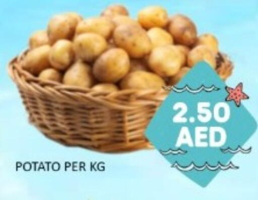 Potato available at GREEN GIFT DEPARTMENT STORE in UAE - Abu Dhabi