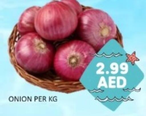 Onion available at GREEN GIFT DEPARTMENT STORE in UAE - Abu Dhabi