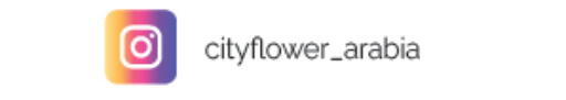 available at City Flower in KSA, Saudi Arabia, Saudi - Abha