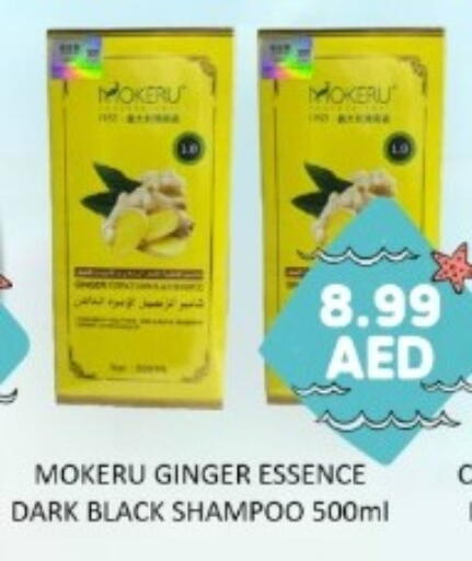 Ginger available at GREEN GIFT DEPARTMENT STORE in UAE - Abu Dhabi