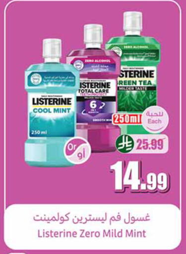 Mint available at أسواق عبد الله العثيم in مملكة العربية السعودية, السعودية, سعودية - الرياض