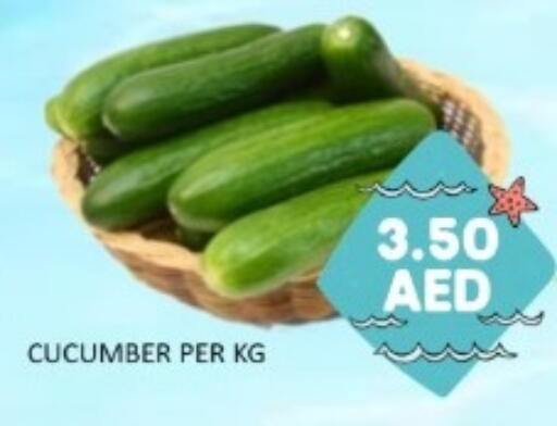 Cucumber available at GREEN GIFT DEPARTMENT STORE in UAE - Abu Dhabi