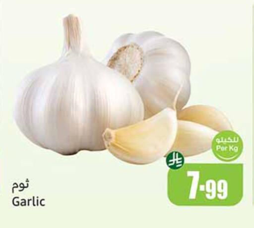 Garlic available at Othaim Markets in KSA, Saudi Arabia, Saudi - Al Khobar
