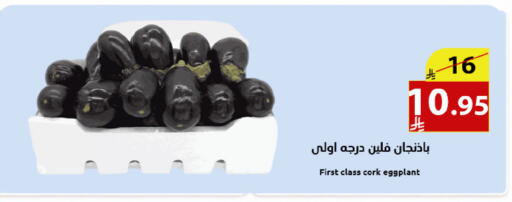 Eggplant available at متاجر أبياتي in مملكة العربية السعودية, السعودية, سعودية - المدينة المنورة