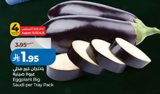 Eggplant from Saudi Arabia available at لولو هايبرماركت in مملكة العربية السعودية, السعودية, سعودية - الرياض
