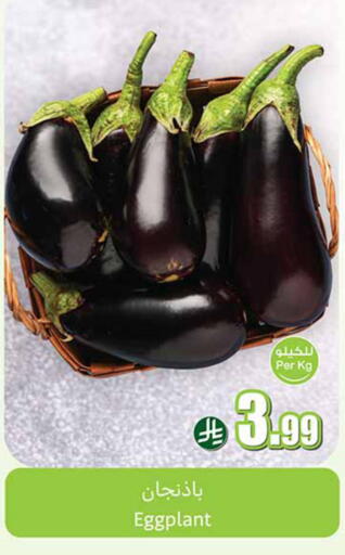 Eggplant available at Othaim Markets in KSA, Saudi Arabia, Saudi - Al Khobar
