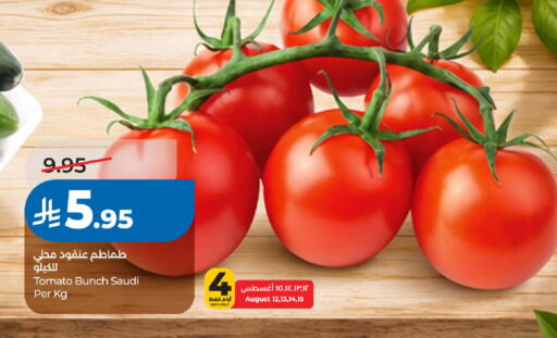 Tomato from Saudi Arabia available at لولو هايبرماركت in مملكة العربية السعودية, السعودية, سعودية - الخبر‎