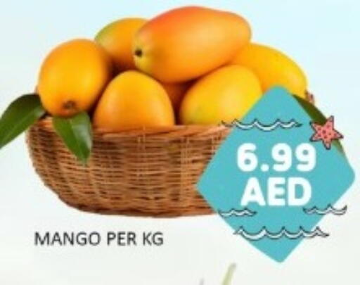 Mango available at GREEN GIFT DEPARTMENT STORE in UAE - Abu Dhabi