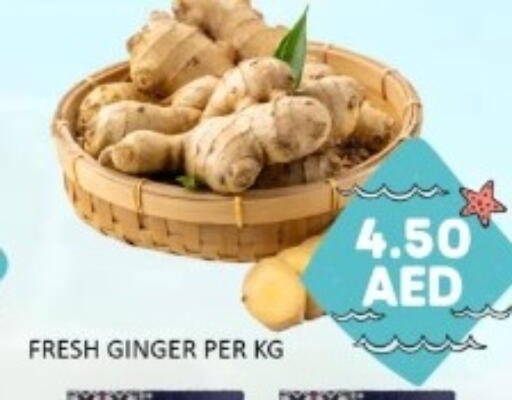 Ginger available at GREEN GIFT DEPARTMENT STORE in UAE - Abu Dhabi