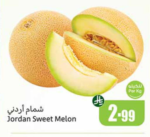 Melon available at أسواق عبد الله العثيم in مملكة العربية السعودية, السعودية, سعودية - الرياض