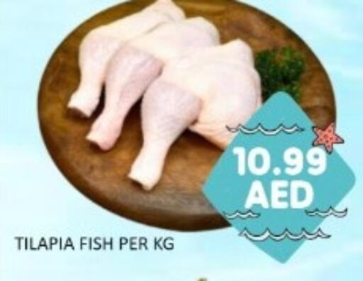 available at GREEN GIFT DEPARTMENT STORE in UAE - Abu Dhabi