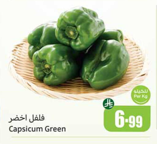 Capsicum available at أسواق عبد الله العثيم in مملكة العربية السعودية, السعودية, سعودية - المدينة المنورة