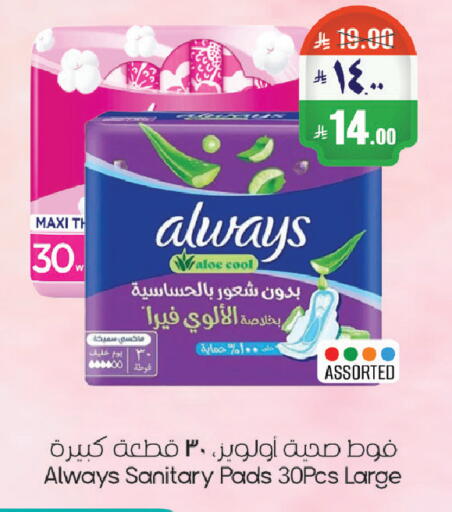 available at City Flower in KSA, Saudi Arabia, Saudi - Riyadh