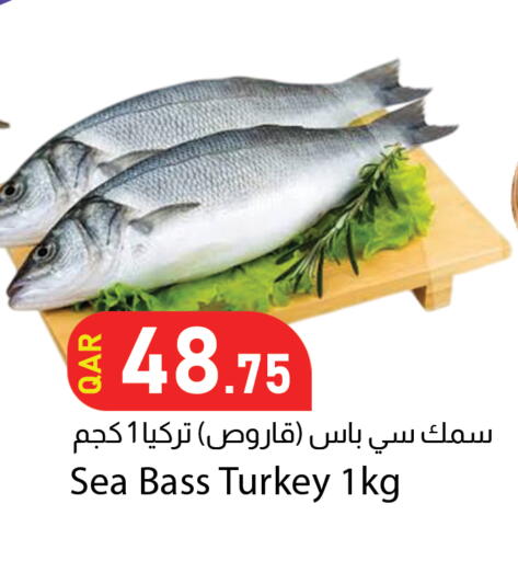 available at دانا ماركت in قطر - الخور
