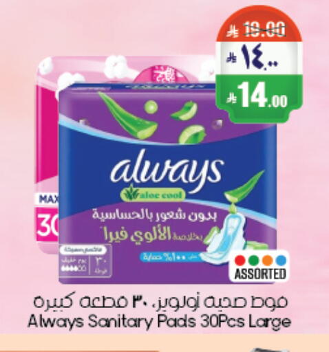 available at City Flower in KSA, Saudi Arabia, Saudi - Abha