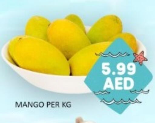 Mango available at GREEN GIFT DEPARTMENT STORE in UAE - Abu Dhabi