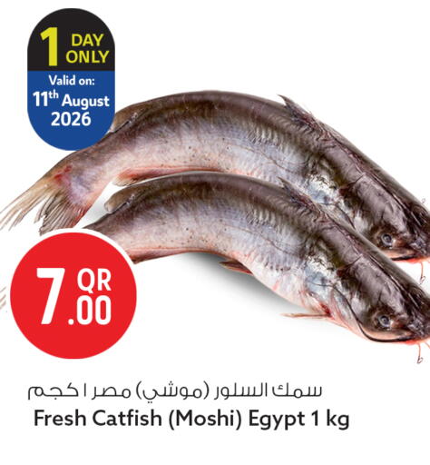 available at سفاري هايبر ماركت in قطر - الخور