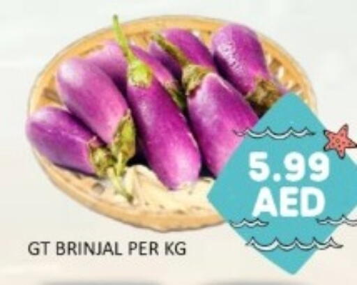 available at GREEN GIFT DEPARTMENT STORE in UAE - Abu Dhabi