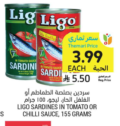 Tomato Chilli available at Tamimi Market in KSA, Saudi Arabia, Saudi - Tabuk