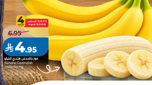 Banana from India available at لولو هايبرماركت in مملكة العربية السعودية, السعودية, سعودية - الخبر‎