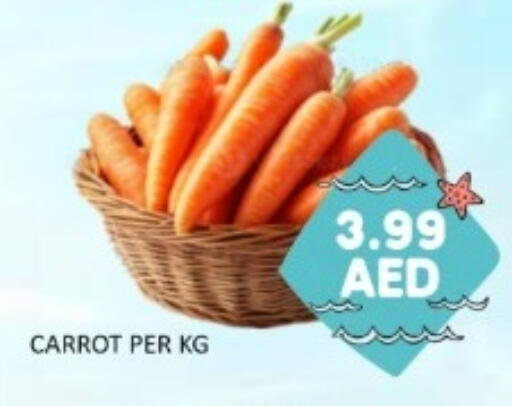 Carrot available at GREEN GIFT DEPARTMENT STORE in UAE - Abu Dhabi