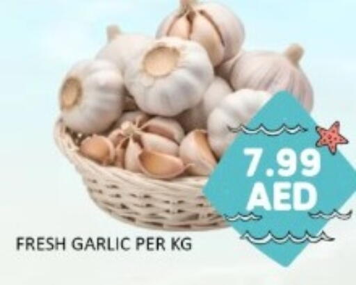 Garlic available at GREEN GIFT DEPARTMENT STORE in UAE - Abu Dhabi
