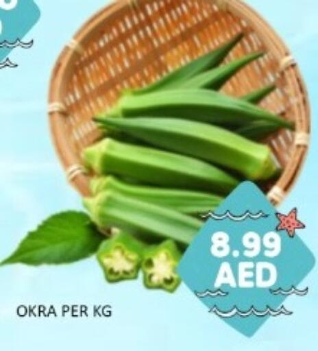Okra available at GREEN GIFT DEPARTMENT STORE in UAE - Abu Dhabi