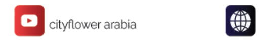 available at City Flower in KSA, Saudi Arabia, Saudi - Al-Kharj