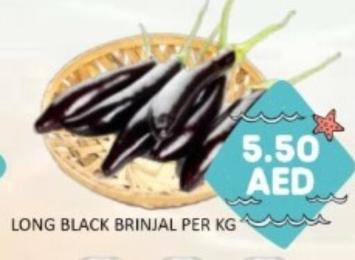 available at GREEN GIFT DEPARTMENT STORE in UAE - Abu Dhabi