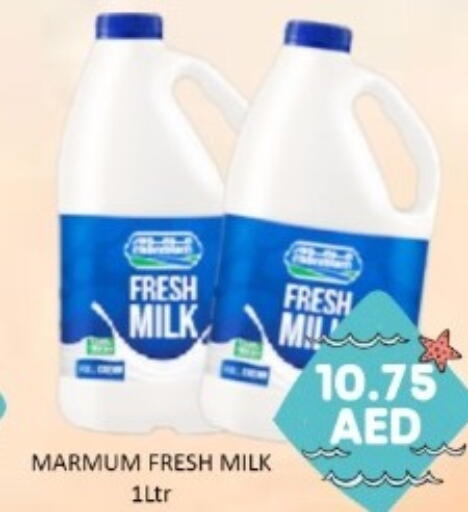available at GREEN GIFT DEPARTMENT STORE in UAE - Abu Dhabi