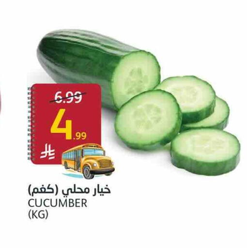 Cucumber available at أسواق الجزيرة in مملكة العربية السعودية, السعودية, سعودية - الرياض