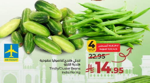 from India available at لولو هايبرماركت in مملكة العربية السعودية, السعودية, سعودية - الرياض