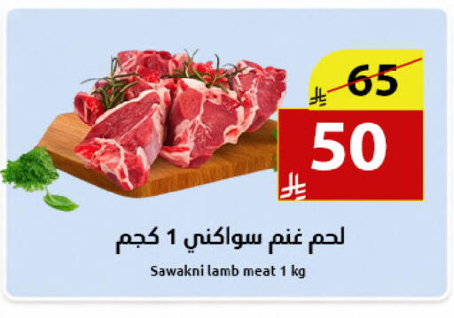 available at متاجر أبياتي in مملكة العربية السعودية, السعودية, سعودية - المدينة المنورة