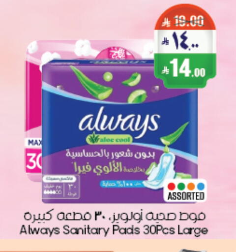 available at City Flower in KSA, Saudi Arabia, Saudi - Riyadh