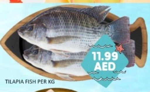 available at GREEN GIFT DEPARTMENT STORE in UAE - Abu Dhabi