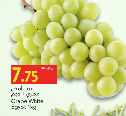 from Egypt available at جلف فود سنتر in قطر - الريان