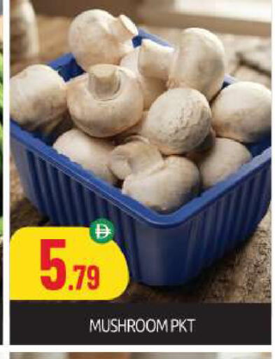 Mushroom available at بيج مارت in الإمارات العربية المتحدة , الامارات - أبو ظبي