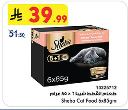 available at بن داود in مملكة العربية السعودية, السعودية, سعودية - المدينة المنورة